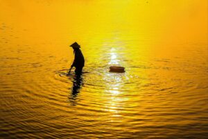 頭金ゼロで車をサブスクする女性に人気の理由は？