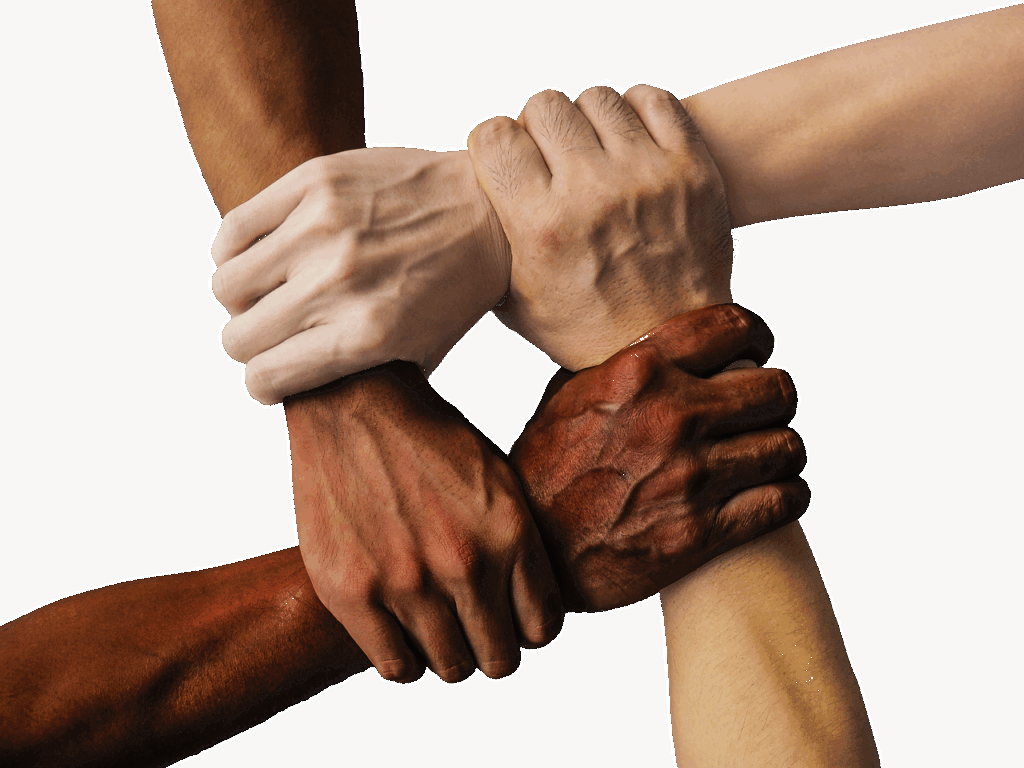 頭金ゼロで購入できる車は月額3万円台でどれくらいある？