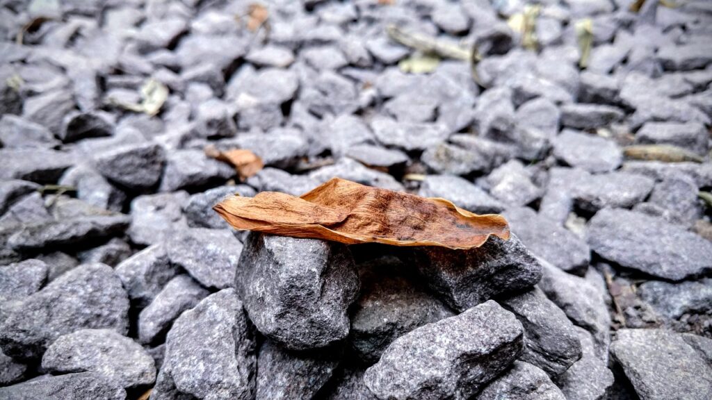 期間限定の割引はどこで見つけられる？