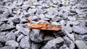 期間限定の割引はどこで見つけられる？