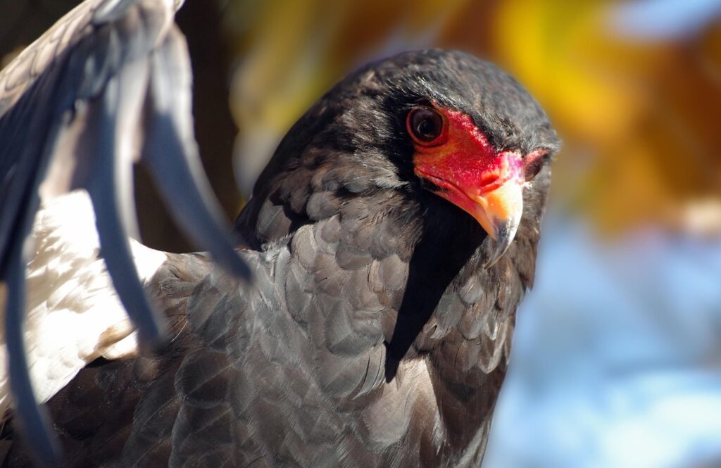短期マイカー利用のための月額プランはどれが最適？
