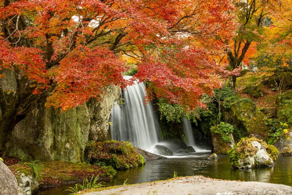 短期マイカー旅行でコスパを最大化する方法は？